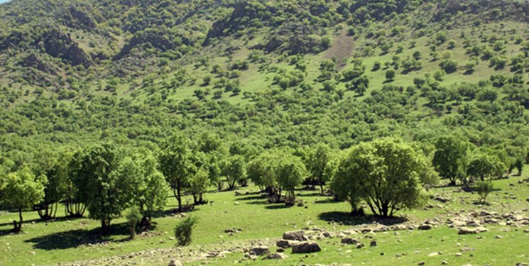آماده باش ۱۹ تیم یگان حفاظت منابع طبیعی استان