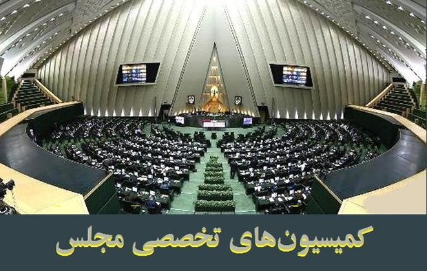 جلسات کمیسیون‌های مجلس با حضور تعدادی از وزراء