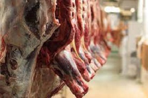ابلاغ قیمت جدید گوشت به قصابی های آبادان