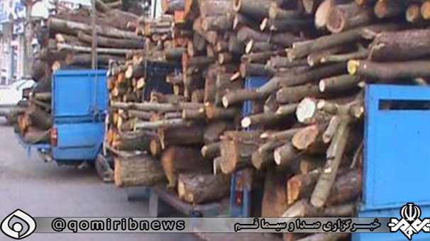کشف ۱۵ تن چوب قاچاق در قم