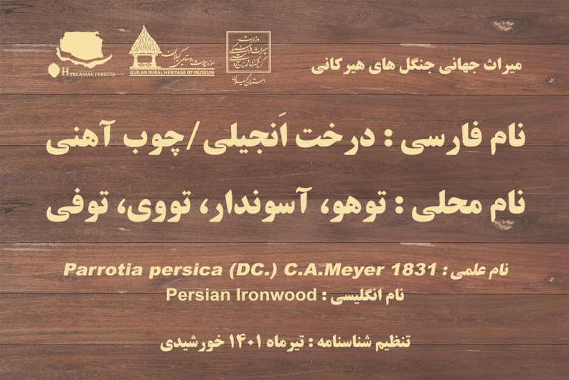 رونمایی از طرح تدوین شناسنامه گونه‌های گیاهی جنگل‌های هیرکانی گیلان