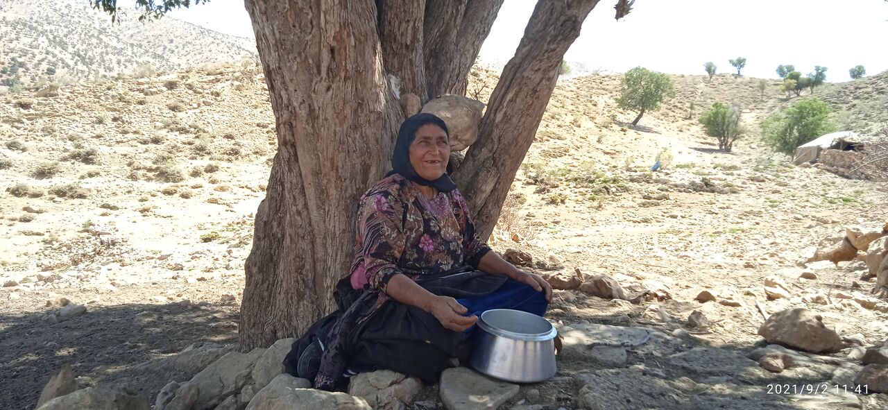 فردیس، میزبان جشنواره بومی محلی