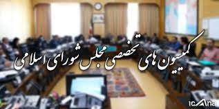 پاسخگویی وزرا در کمیسیونهای تخصصی مجلس