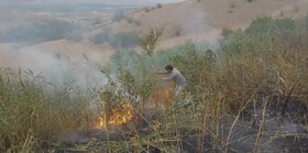 مهار میدانی آتش در منطقه حفاظت شده ارسباران