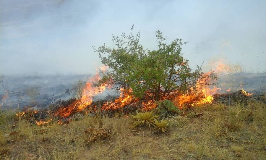 مهار آتش در اراضی کشاورزی و مرتعی کجور